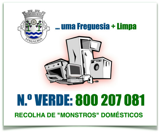 Imagem RECOLHA DE RESÍDUOS VOLUMOSOS (Monos/Monstros Domésticos)